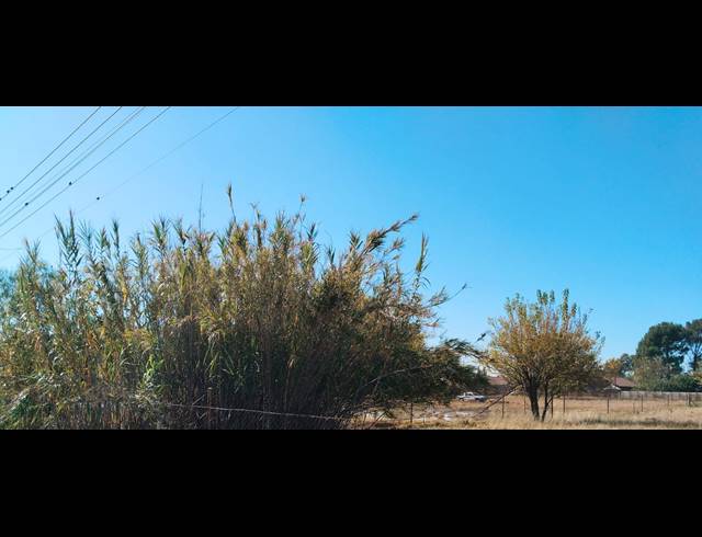 1,107M² VACANT LAND FOR SALE IN RIVERSDALE